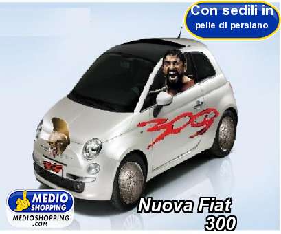 Medioshopping Nuova Fiat                  300
