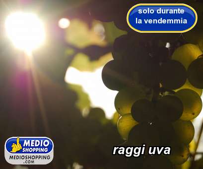 Medioshopping raggi uva