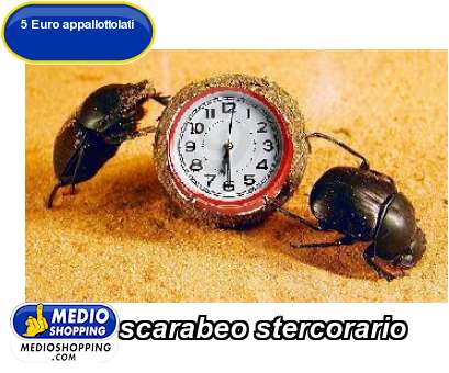 Medioshopping scarabeo stercorario