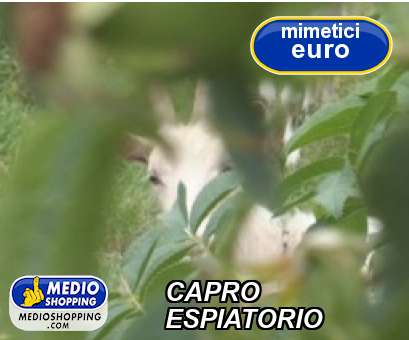 Medioshopping CAPRO ESPIATORIO