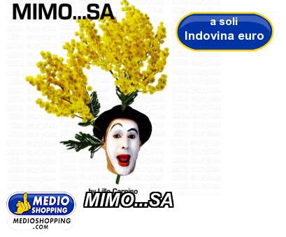Medioshopping MIMO...SA