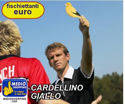 Medioshopping CARDELLINO GIALLO