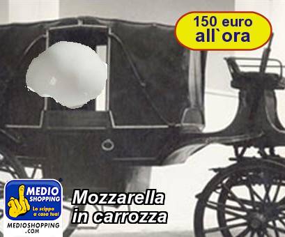 Medioshopping Mozzarella in carrozza